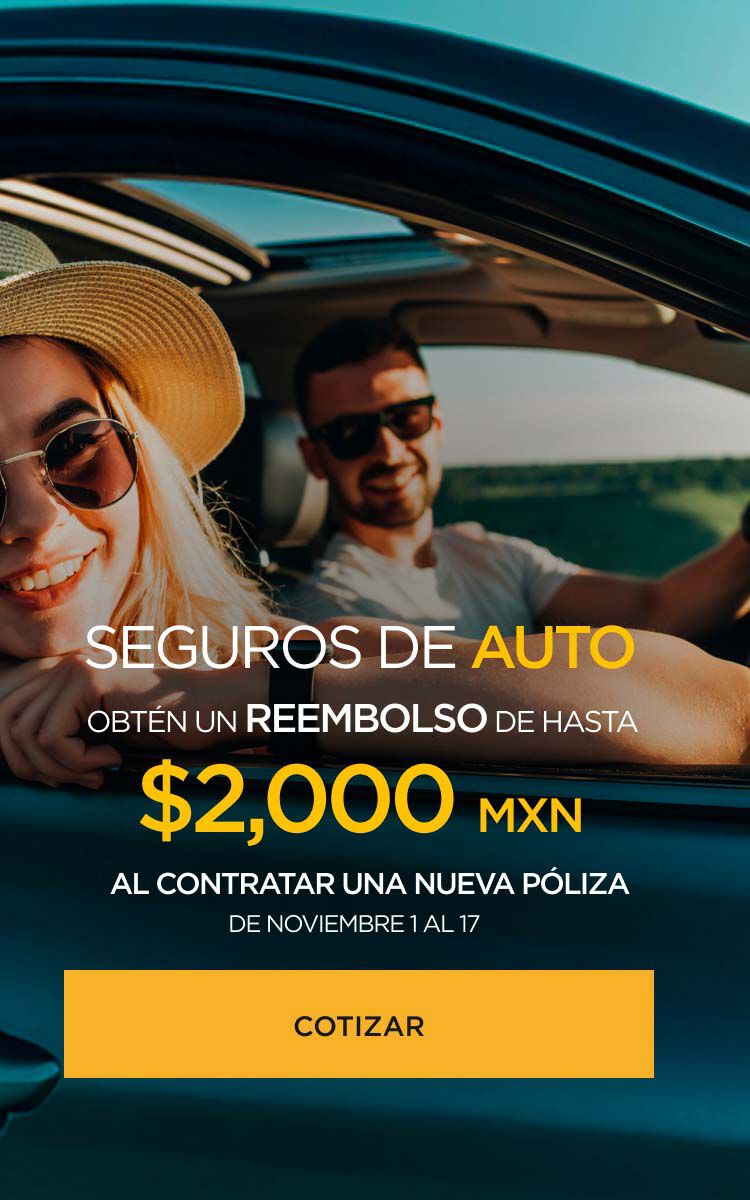 Seguros Palacio autos