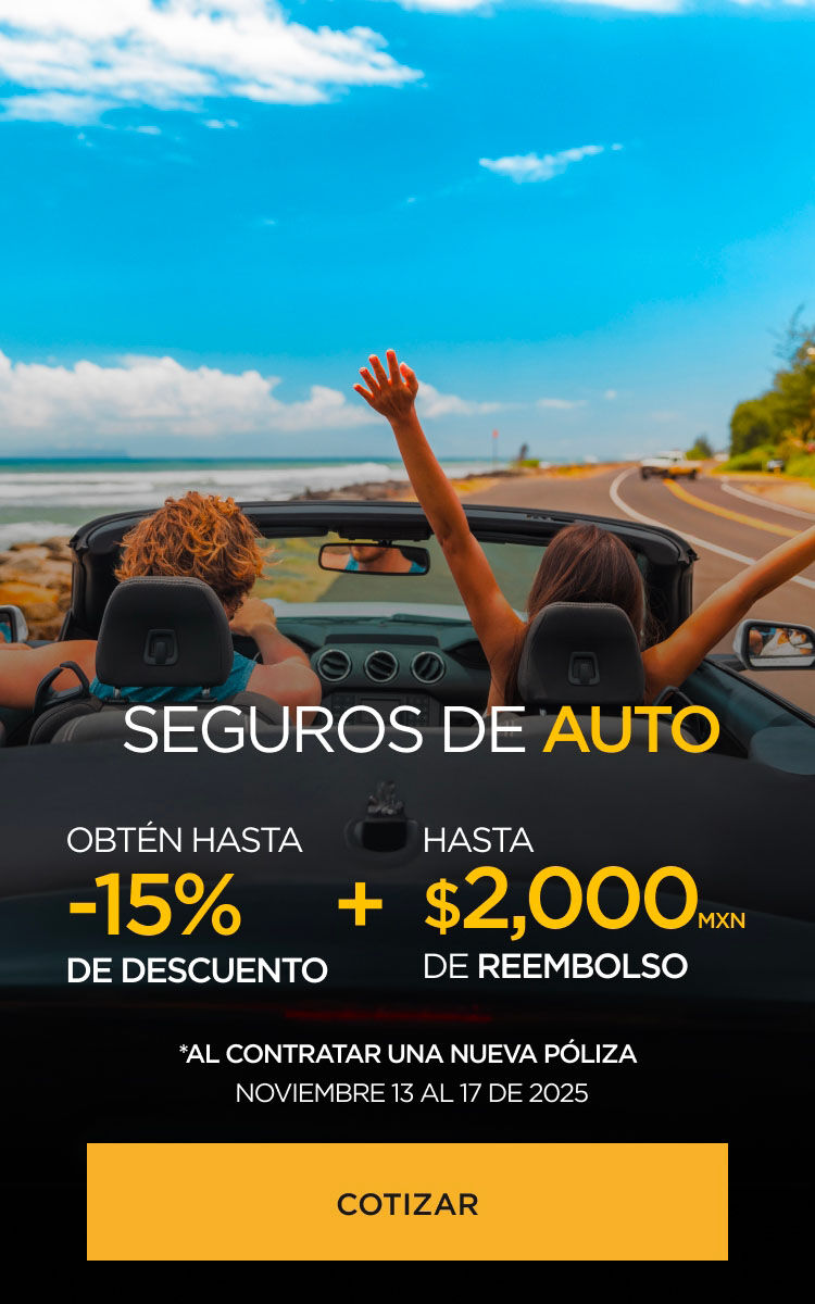 Seguros Palacio autos