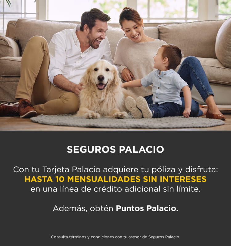Seguros Palacio