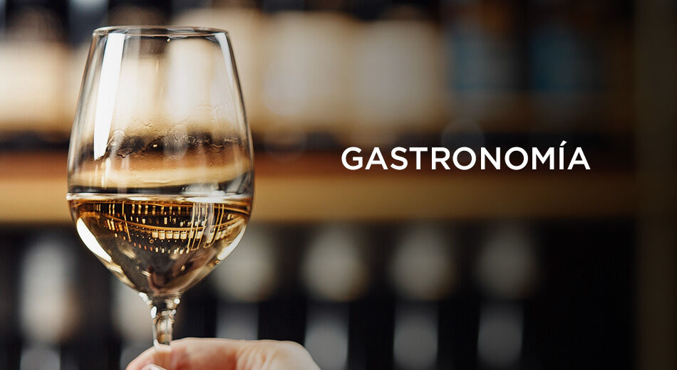 Gastronomia