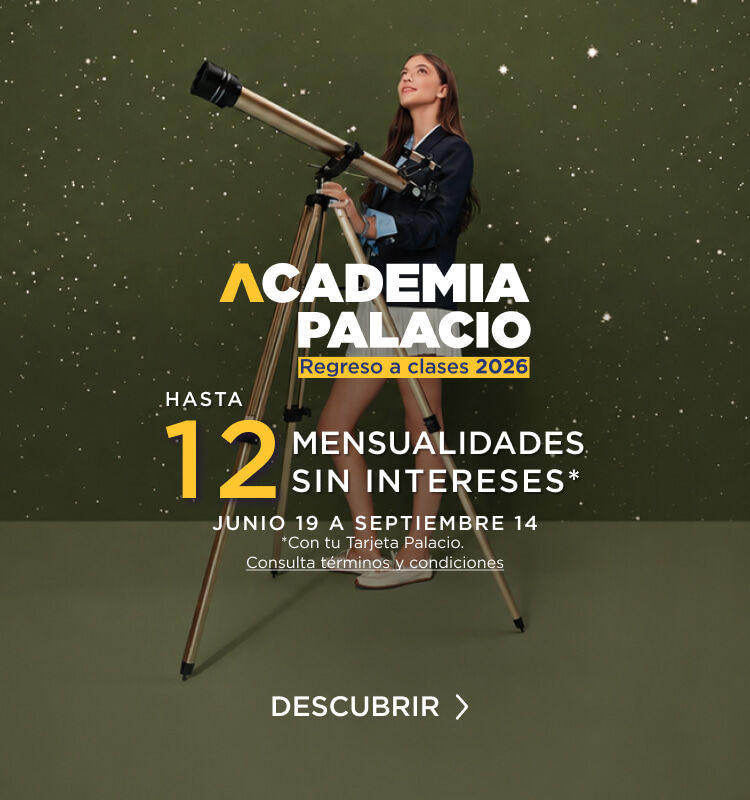 ACADEMIA PALACIO