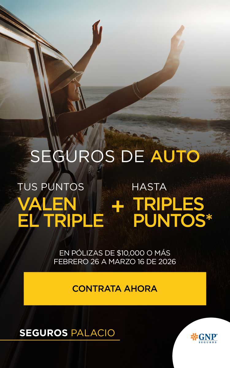 SEGUROS DE AUTO