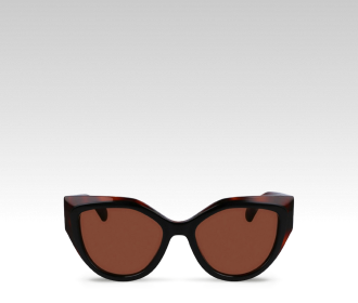 Lentes para soll color negros con cafe 