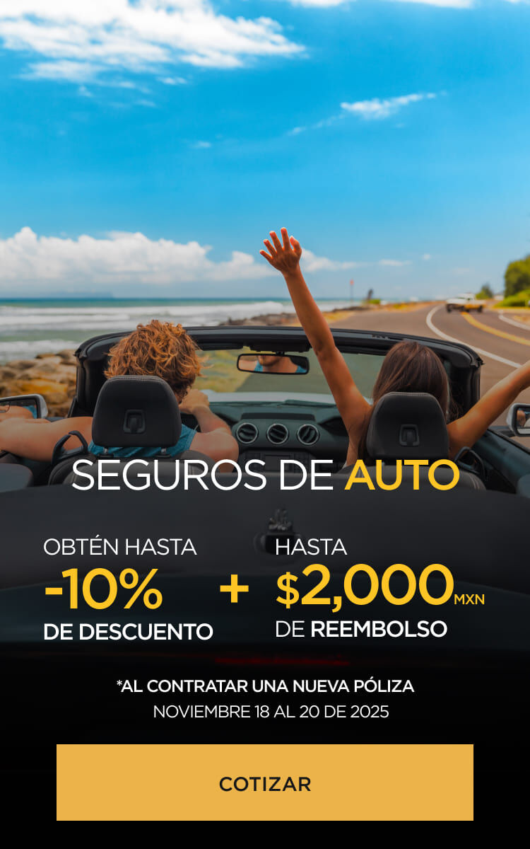 Seguros Palacio autos