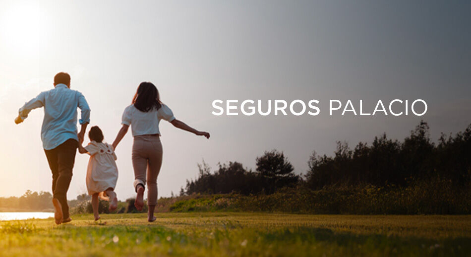 SegurosPalacio