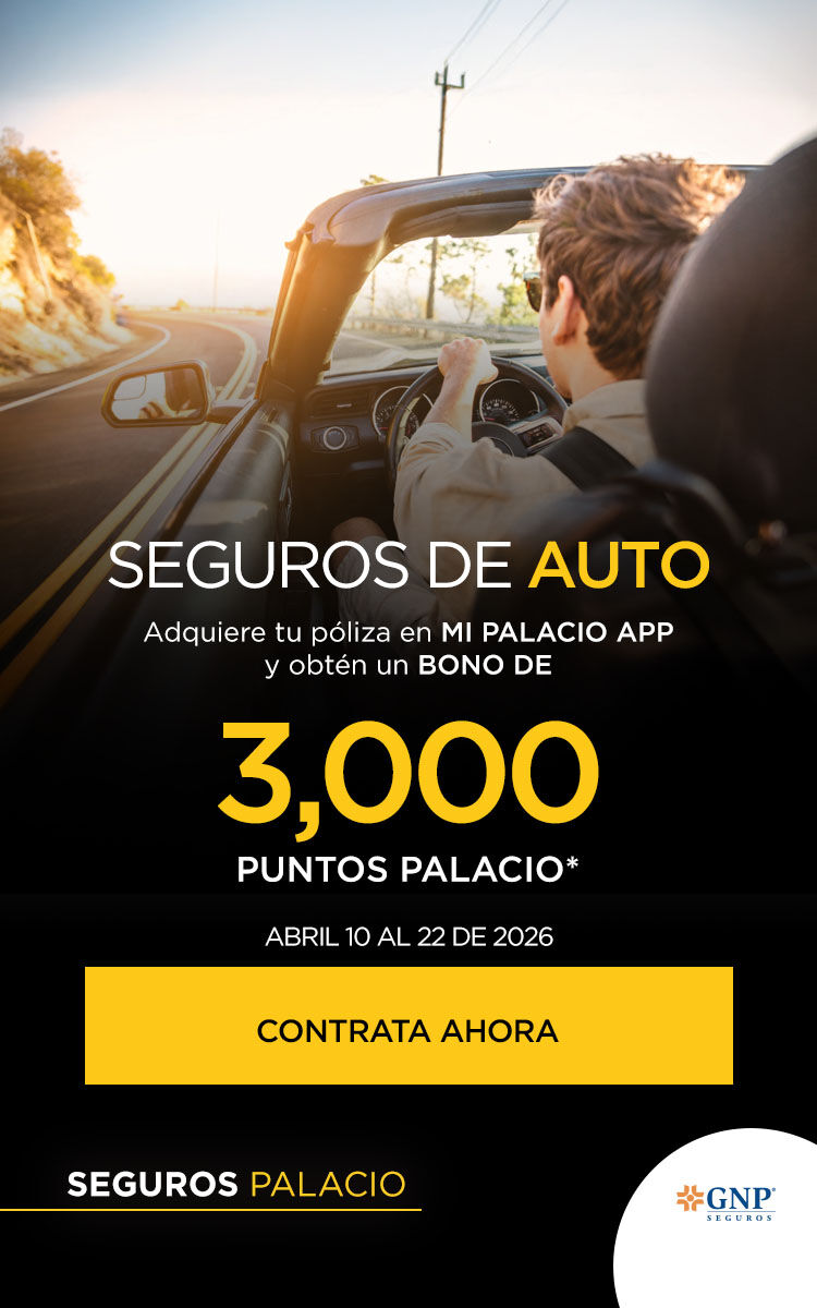 SEGUROS DE AUTO
