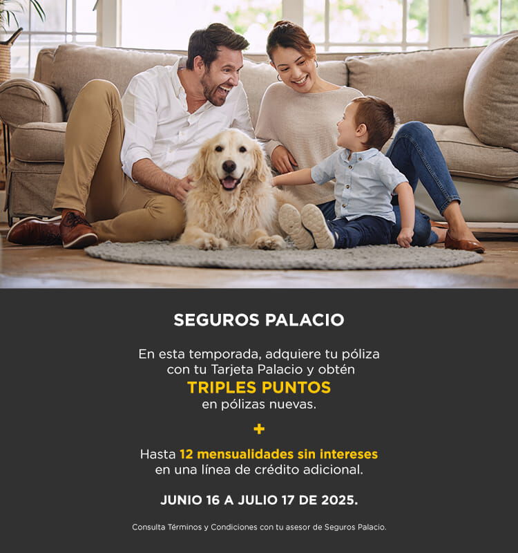Seguros palacio