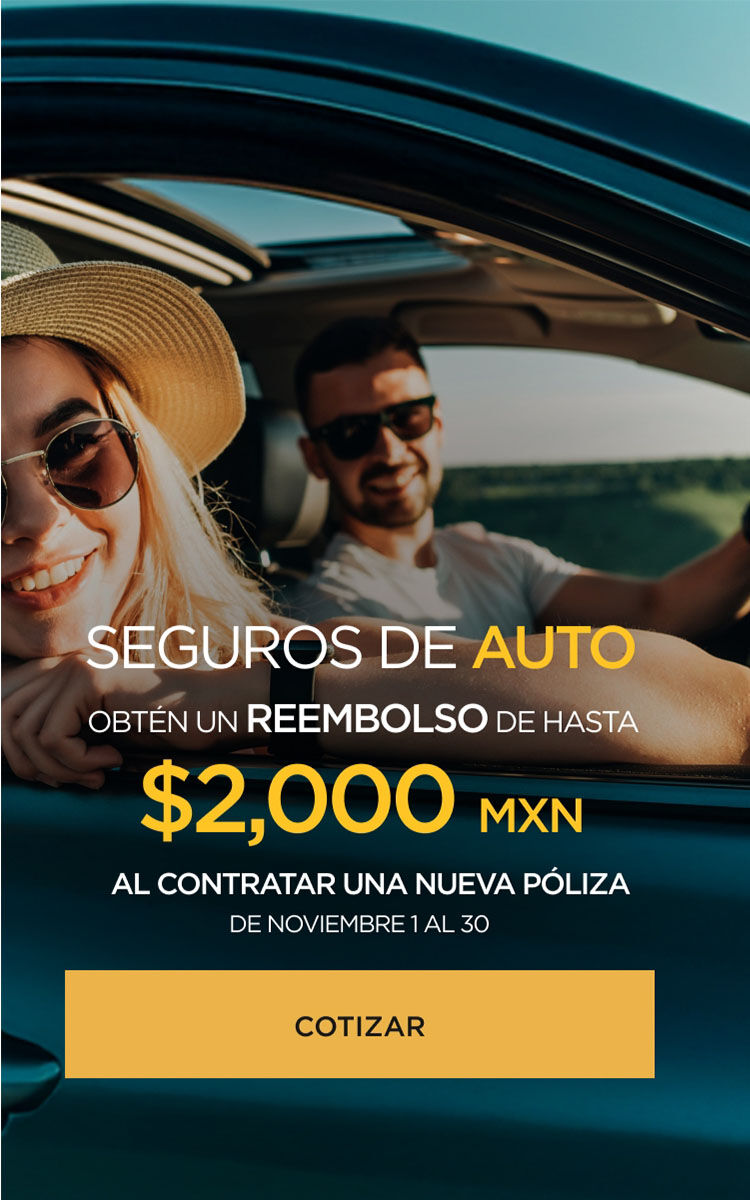 Seguros Palacio autos