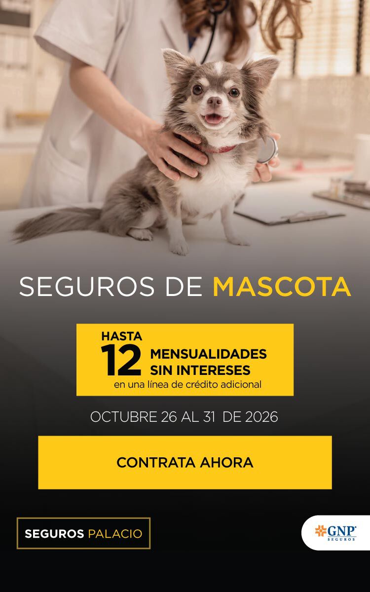 SEGURO MASCOTAS