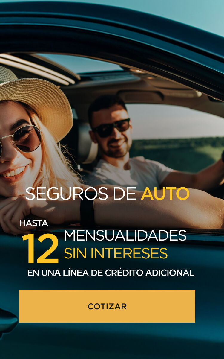 Seguros Palacio autos