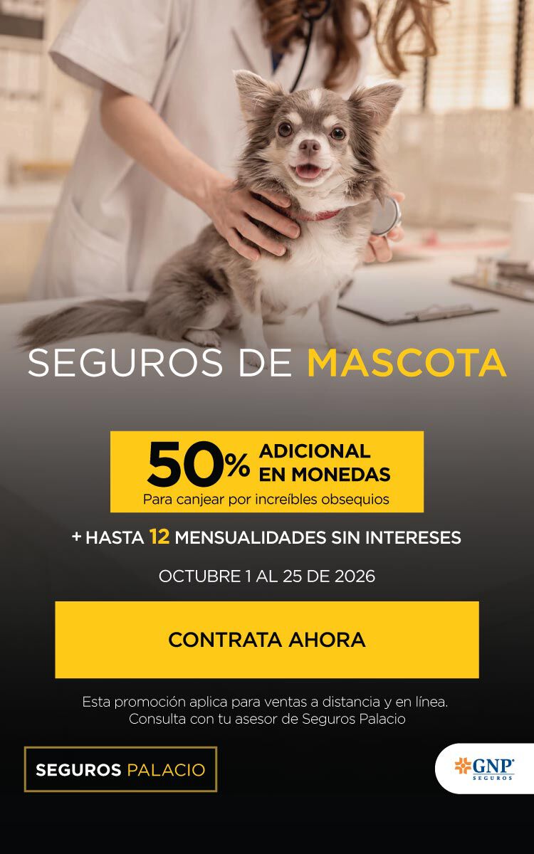 SEGURO MASCOTAS