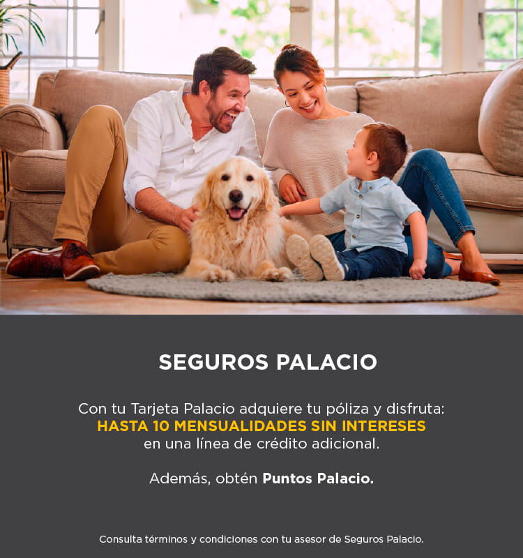 Seguros palacio