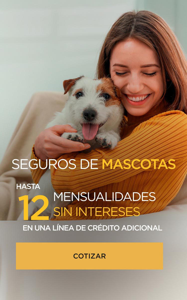 SEGURO MASCOTAS