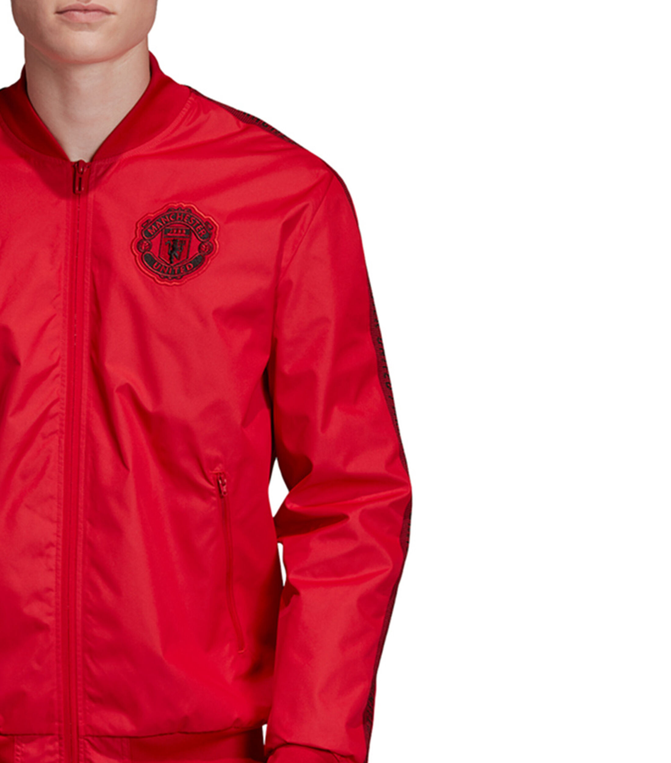 download manchester united anthem download manchester united anthem