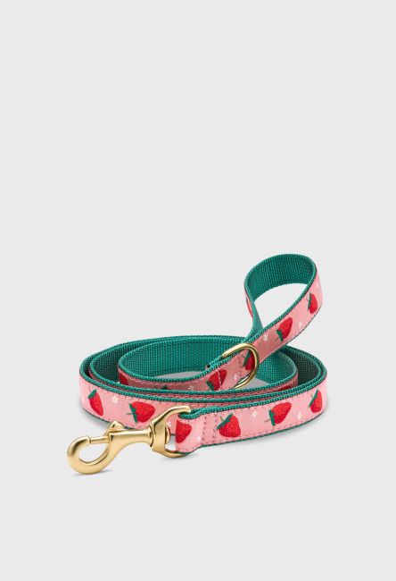 Transportadoras, mochilas, carriolas para perros