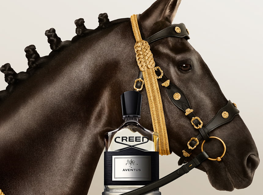 Perfume premium Creed Aventus junto a la cabeza de un caballo negro con riendas doradas