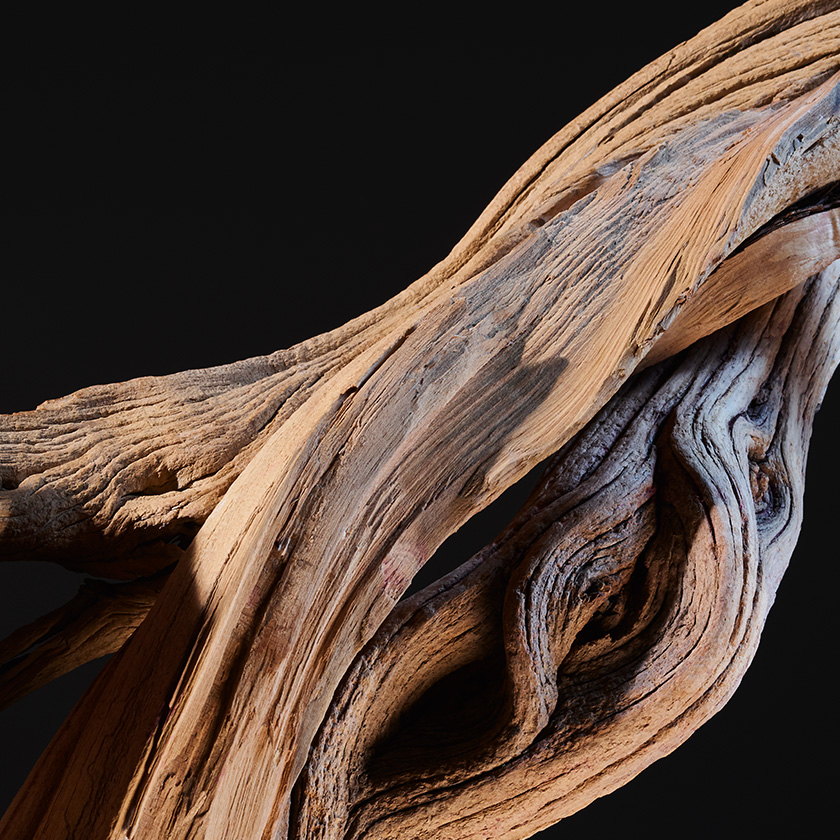 La madera de oud