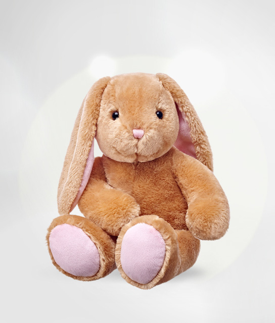 Build a Bear