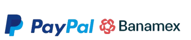 Logo Paypal