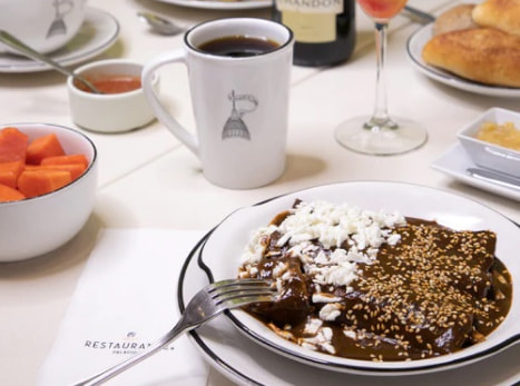 imagen de un platillo de enchiladas de mole tipo gourmet 