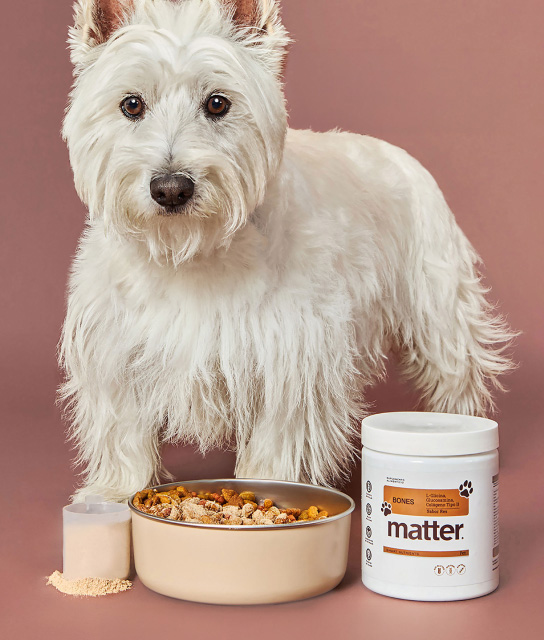 MATTER
