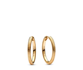 par de aretes dorados