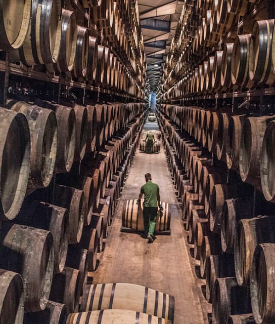 Imagen de un hombre entre Barricas de Roble Excepcional