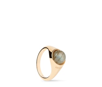 anillo dorado, PDpaola