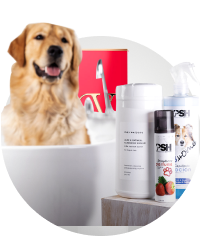 golden retriever en una bañera, junto a el productos de igiene, ARISTOPET