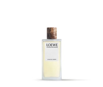 Imagen de botella de jabon liquido LOEWE