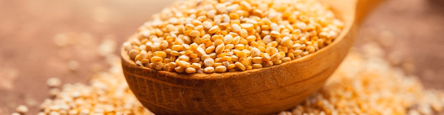 Bolsa de Quinoa en semillas MISTER NATURAL, PDP-Gourmet