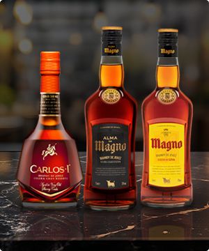 Imagen de varias botellas de CASA OSBORNE de la marca OSBORNE banner menu