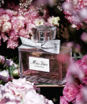 Imagen de un router DIOR, banner menu
