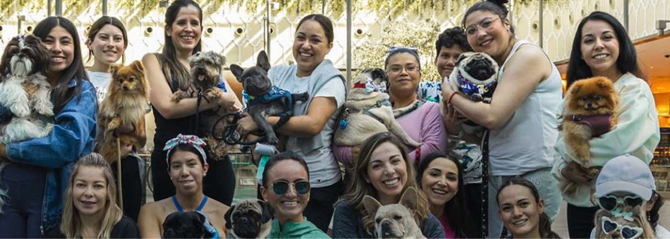 Un día memorable de yoga con nuestros Aristopets, ARISTOPET