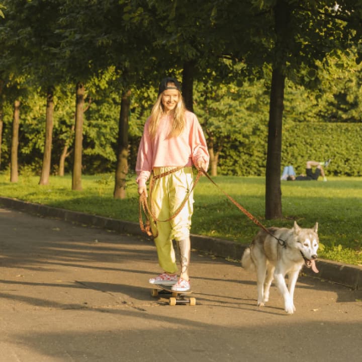 5 actividades para disfrutar al aire libre con tu Aristopet