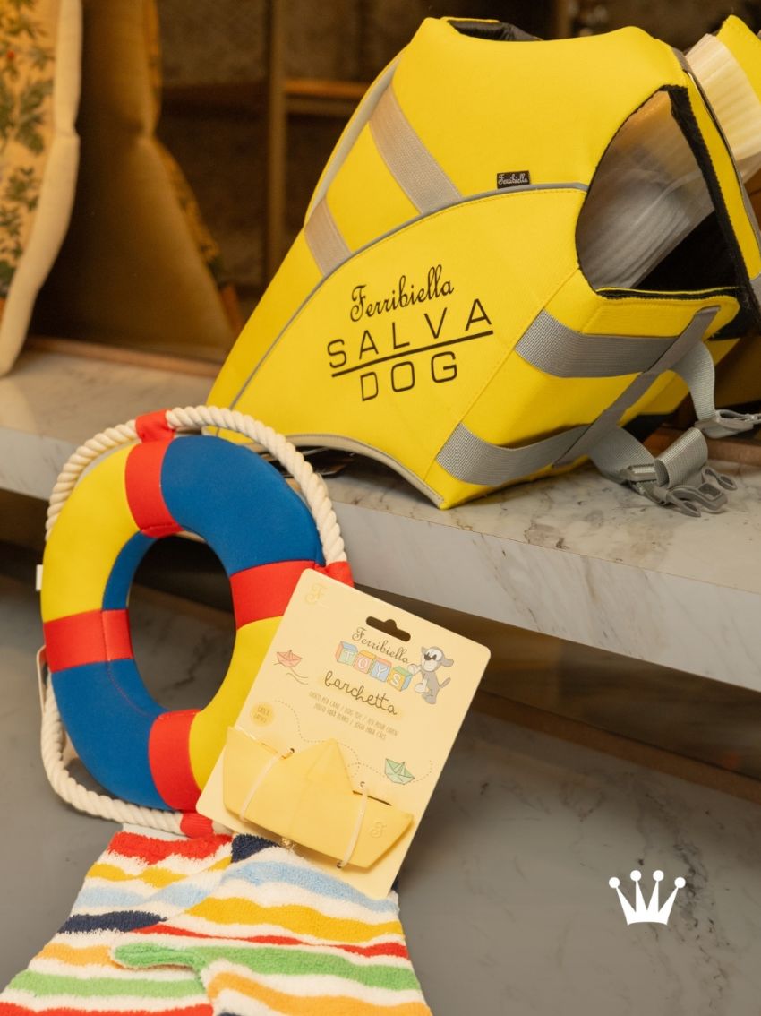 Chamarra bomber para perro