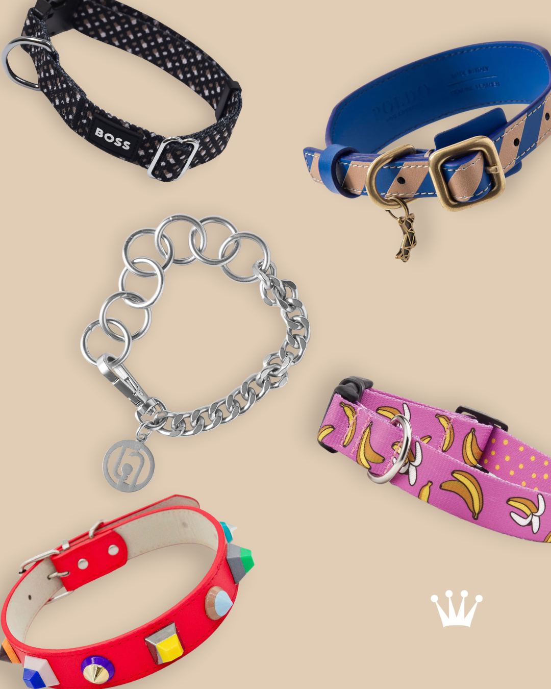 Spa y cuidado especializado para tu mejor amigo