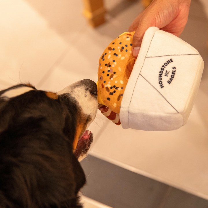 ¿CÓMO ELEGIR EL MEJOR PELUCHE PARA TU ARISTOPET?