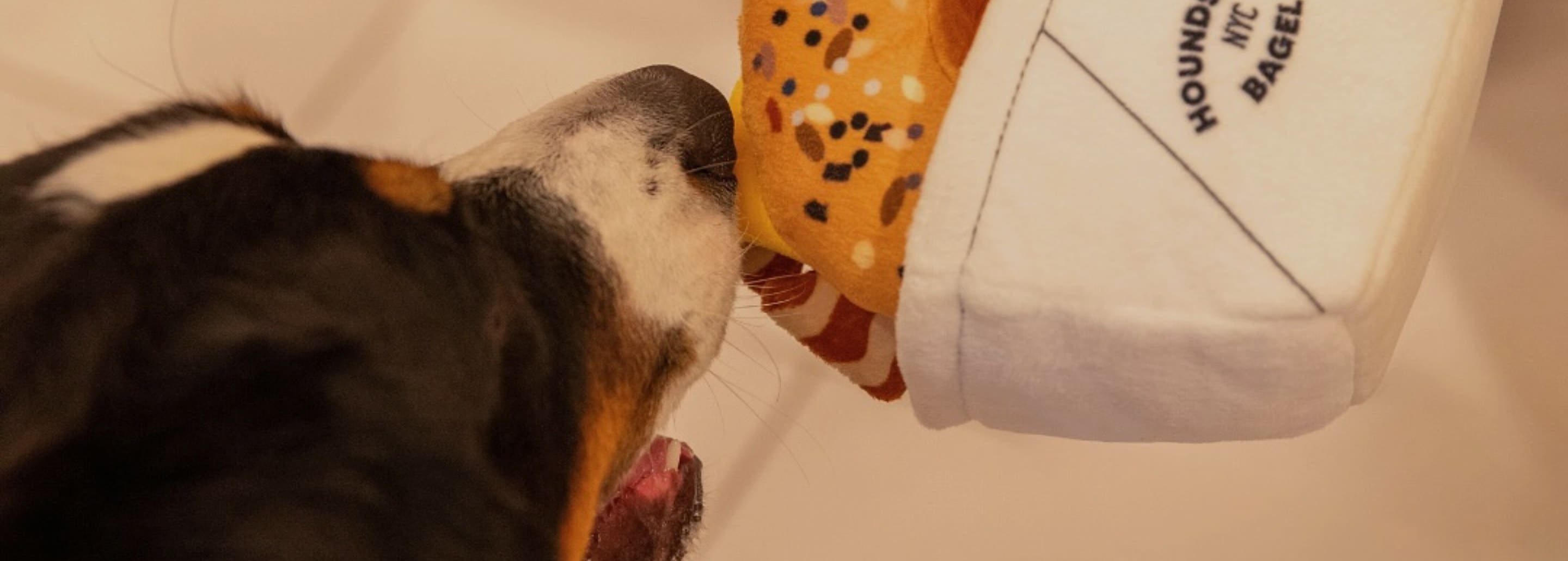 El arte de perfumar a tu Aristopet