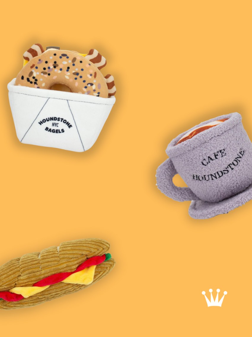 Spa y cuidado especializado para tu mejor amigo