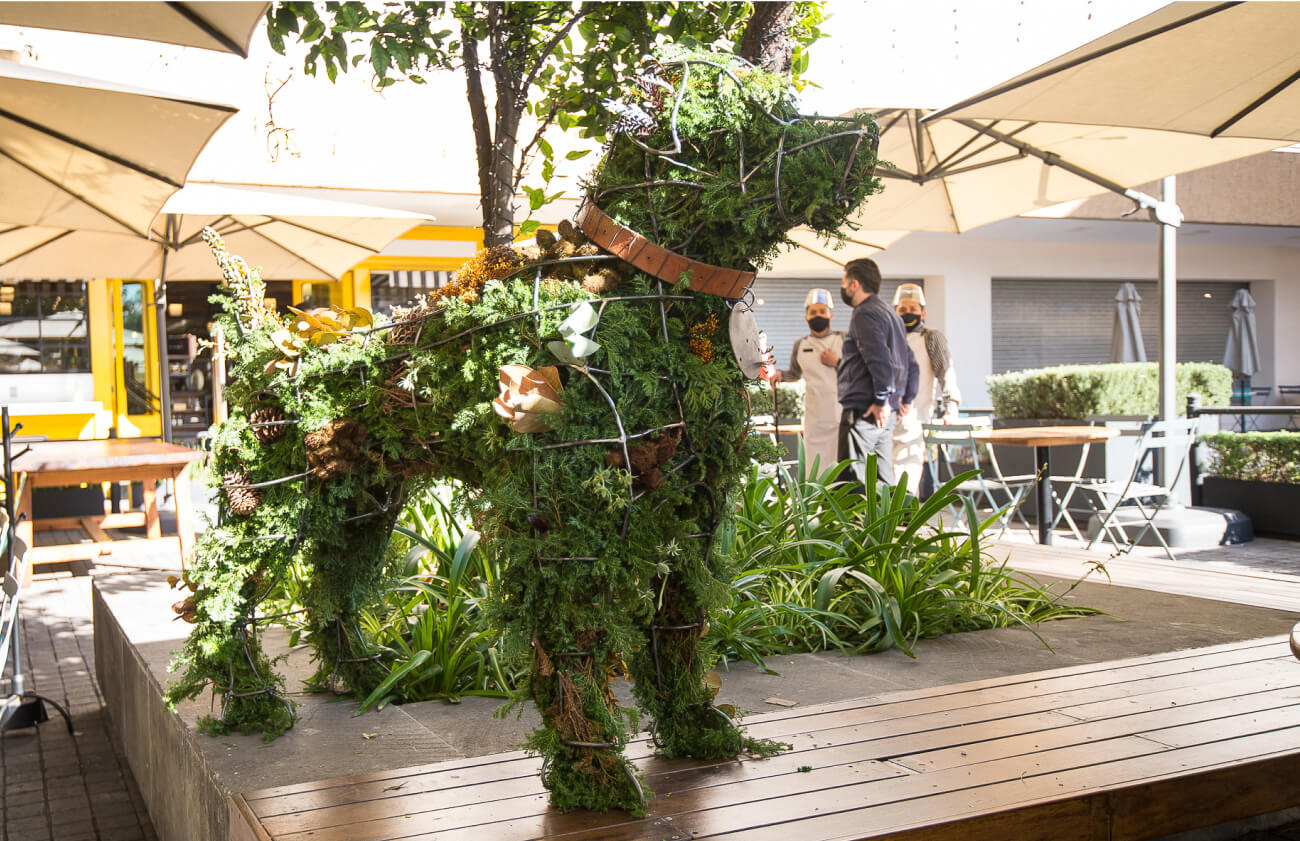 Árbol en forma de perro, ARISTOPET