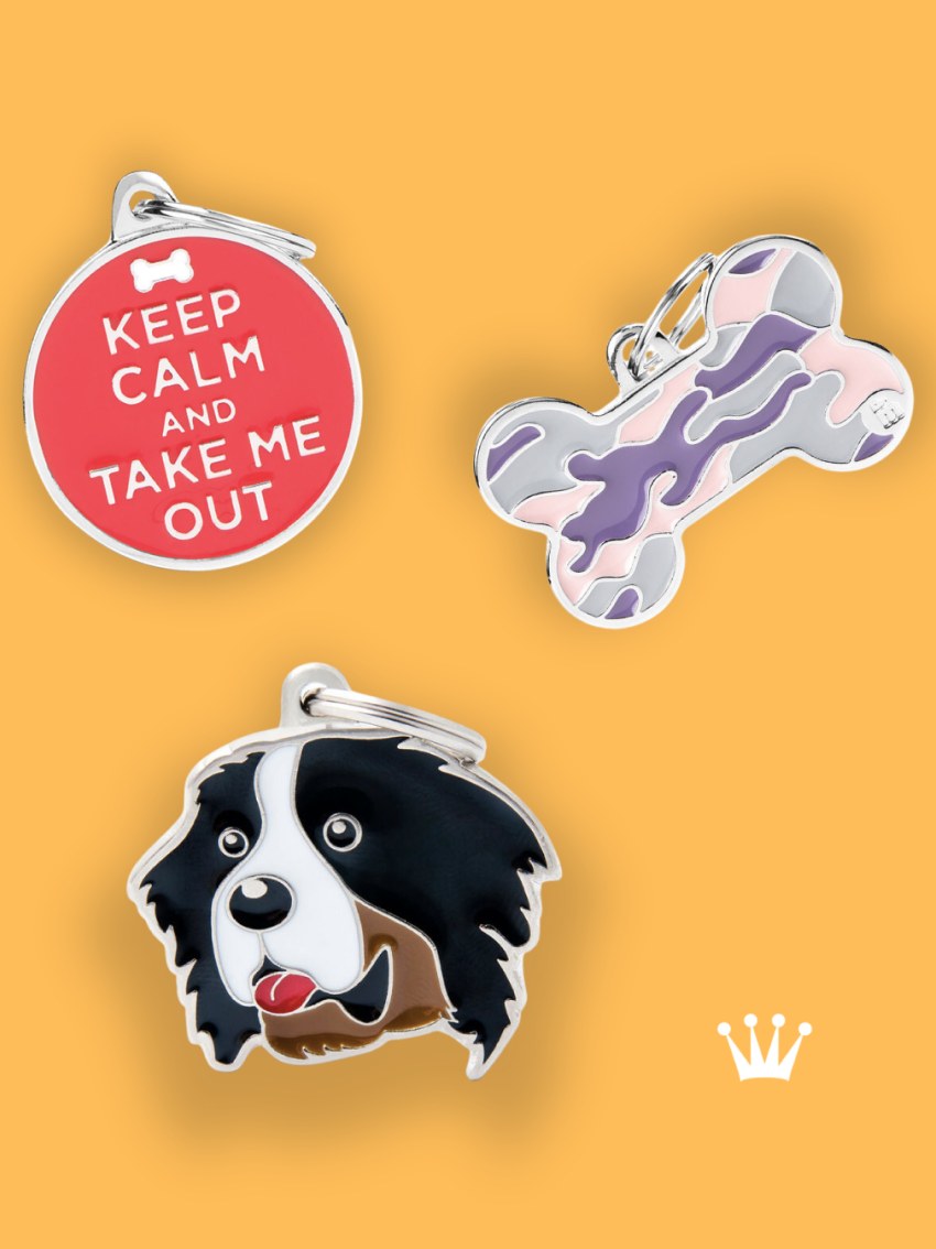 Placas y dijes de identificación personalizados para perros