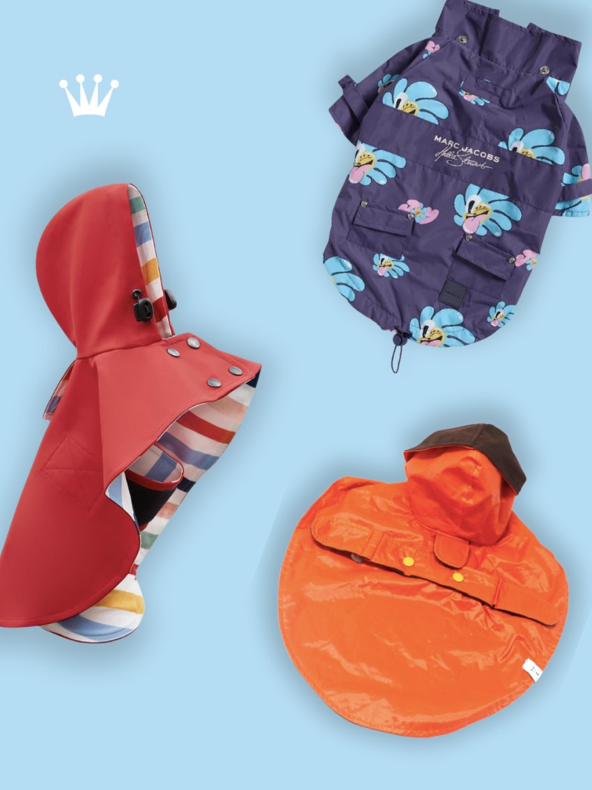 Chaquetas e impermeables con capucha para perro en color azul, rojo y naranja