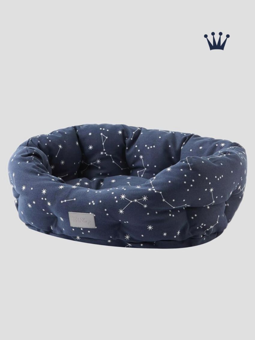 Spa y cuidado especializado para tu mejor amigo