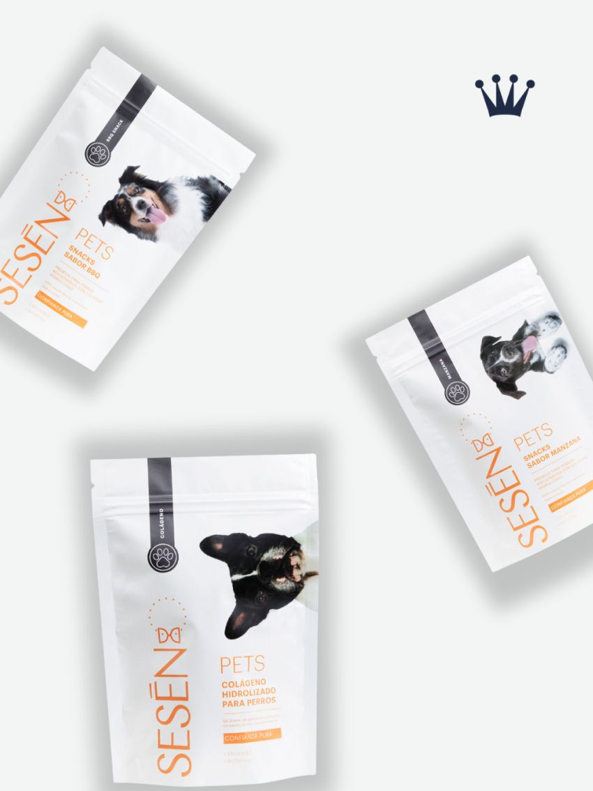 Spa y cuidado especializado para tu mejor amigo