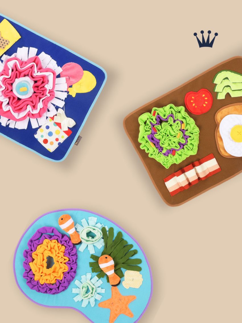 Spa y cuidado especializado para tu mejor amigo