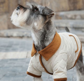 La temporada 2025 llegó
    a aristopet