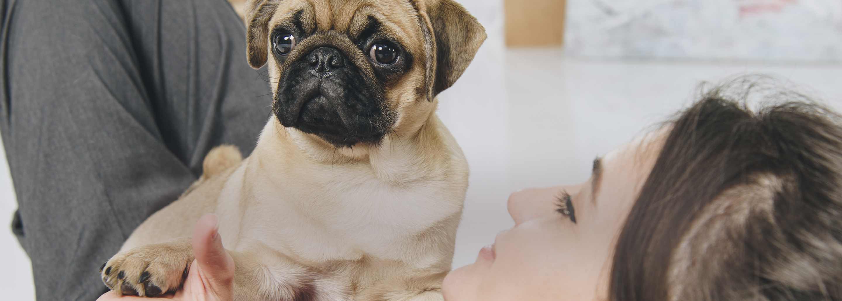 Lentes cheap marca pugs