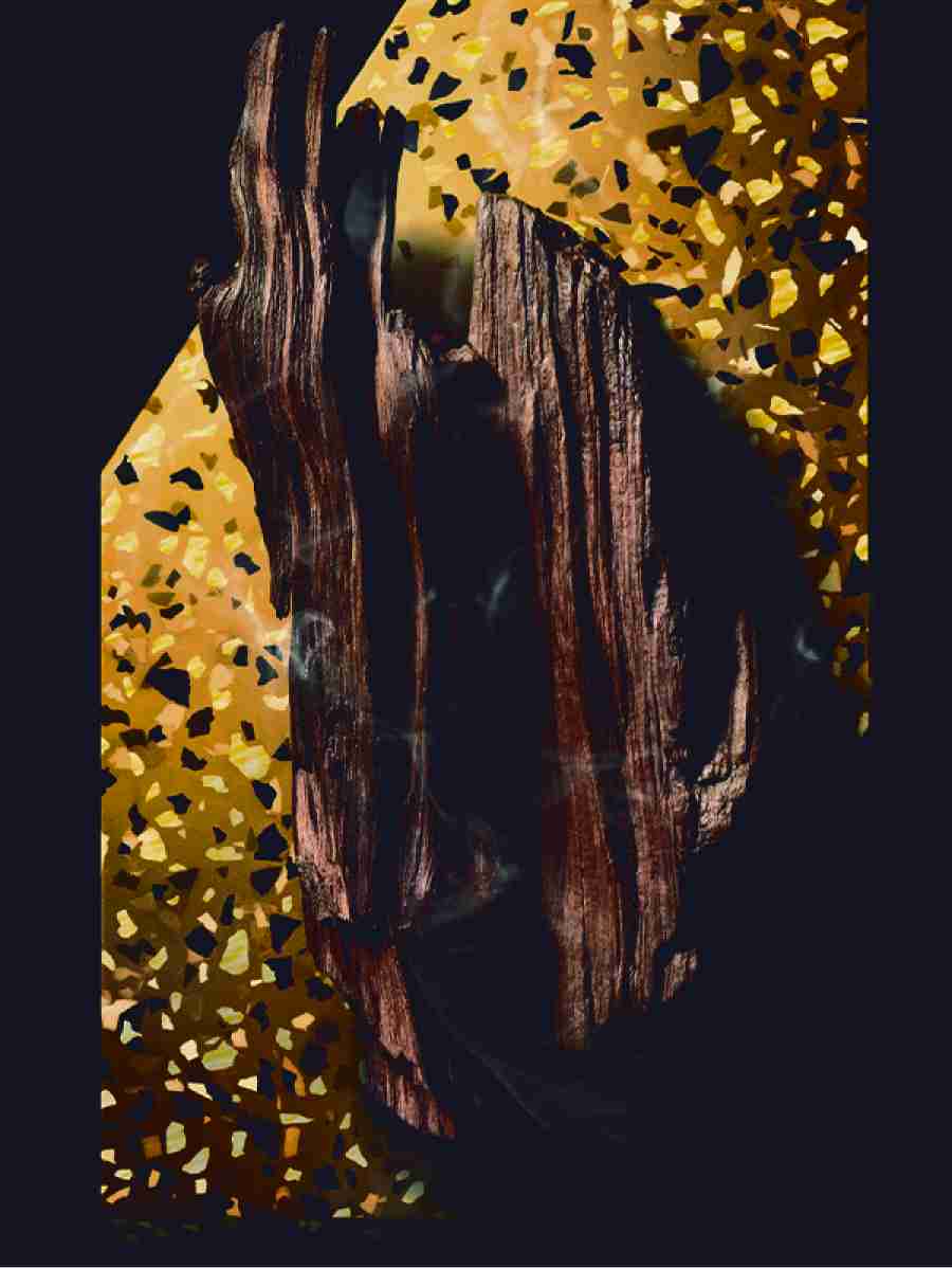 MADERA DE OUD Givenchy