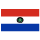 icono Bandera de pais